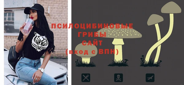 дурь Переславль-Залесский