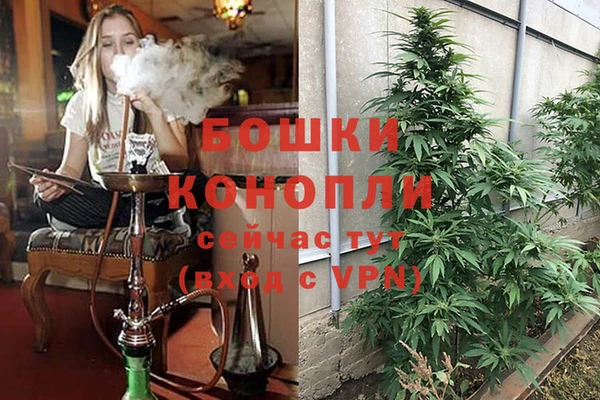 дурь Переславль-Залесский