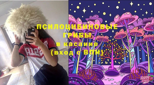 бошки Володарск
