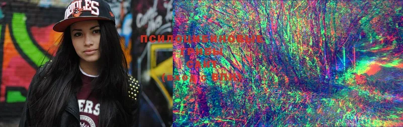 darknet формула  Ардатов  Псилоцибиновые грибы MAGIC MUSHROOMS 
