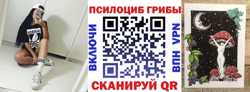 цены наркотик  omg ONION  Псилоцибиновые грибы мицелий  Ардатов 